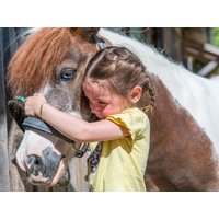 11 Tage Familienauszeit im Bayerischen Wald - 10 Nächte Familienhotel Runding, Bayern inkl. All Inclusive Unkategorisiert online kaufen 11 Tage Familienauszeit im Bayerischen Wald - 10 Nächte Familienhotel Runding, Bayern inkl. All Inclusive Unkategorisiert online kaufen