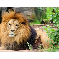 3 Tage - Tierisches Vergnügen in Zoom Erlebniswelt Best Western Plus Hotel Stadtquartier Haan, Nordrhein-Westfalen inkl. Frühstück Unkategorisiert online kaufen 3 Tage - Tierisches Vergnügen in Zoom Erlebniswelt Best Western Plus Hotel Stadtquartier Haan, Nordrhein-Westfalen inkl. Frühstück Unkategorisiert online kaufen