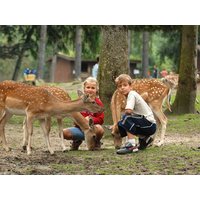 3 Tage Wildpark Lüneburger Heide Heidehotel Bockelmann in Bispingen, Niedersachsen inkl. Frühstück Unkategorisiert online kaufen 3 Tage Wildpark Lüneburger Heide Heidehotel Bockelmann in Bispingen, Niedersachsen inkl. Frühstück Unkategorisiert online kaufen