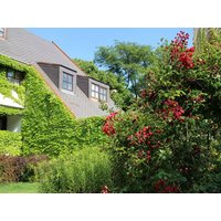 5 Tage im schönen Burgenland Hotel Sifkovits in Rust inkl. Frühstück Unkategorisiert online kaufen 5 Tage im schönen Burgenland Hotel Sifkovits in Rust inkl. Frühstück Unkategorisiert online kaufen