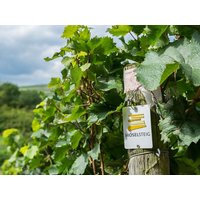 6 Tage - Mit Sack & Pack an die Mosel Hotel Lellmann in Löf, Rheinland-Pfalz inkl. Frühstück Unkategorisiert online kaufen 6 Tage - Mit Sack & Pack an die Mosel Hotel Lellmann in Löf, Rheinland-Pfalz inkl. Frühstück Unkategorisiert online kaufen