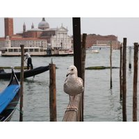 9 Tage zwischen Meer und Therme - Erholsames Bibione Pineda Aparthotel, Venetien inkl. Frühstück Unkategorisiert online kaufen