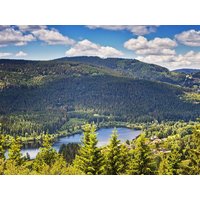 Schwarzwald Auszeit - 4 Tage in in Bonndorf im Schwarzwald, Baden-Württemberg inkl. Halbpension Unkategorisiert online kaufen