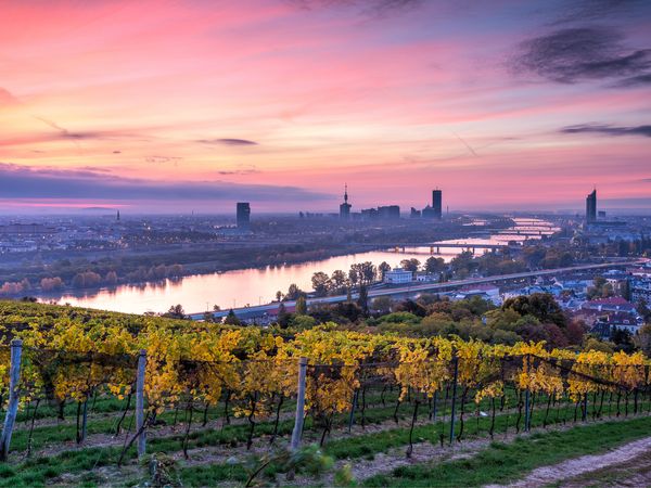 Städtereise - 5 Tage kaiserliches Wien Hotel Lucia Unkategorisiert online kaufen Städtereise - 5 Tage kaiserliches Wien Hotel Lucia Unkategorisiert online kaufen