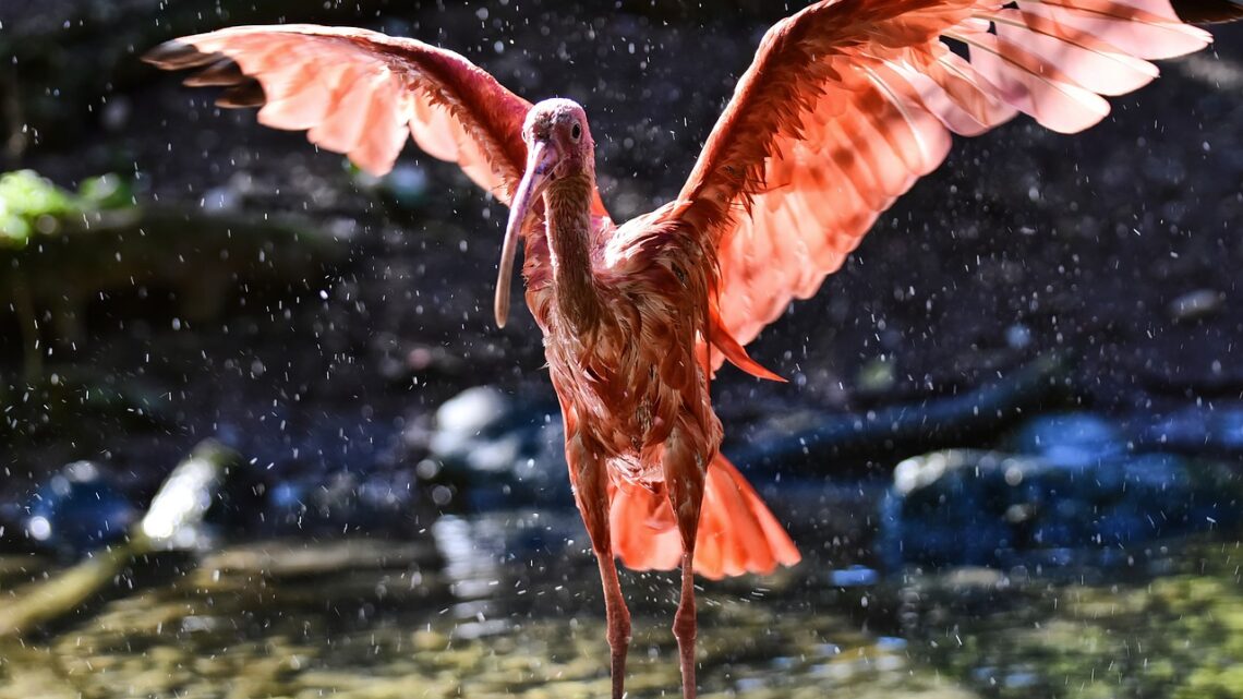 Abenteuer und Erholung für Familien im Wuppertaler Zoo