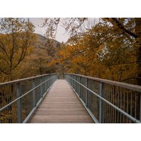 Das CAREA Residenz Hotel Harzhöhe: Ein unvergesslicher Familienurlaub im Herzen von Goslar OT Hahnenklee, Niedersachsen