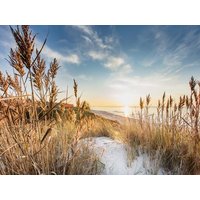 5 Tage Urlaub an der Ostsee inkl. HP plus Inselhotel Poel in Insel Poel, Mecklenburg-Vorpommern inkl. Halbpension Plus