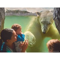 4 Tage - Tierisches Vergnügen in Zoom Erlebniswelt Best Western Plus Parkhotel Velbert, Nordrhein-Westfalen inkl. Frühstück