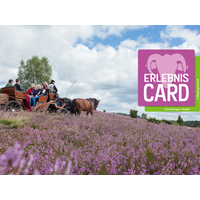 3 Tage ErlebnisCard Lüneburger Heide - Angebot Heidehotel Bockelmann in Bispingen, Niedersachsen inkl. Frühstück
