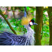 Tierisches Familien-Abenteuer Zoo Dresden - 3 Tage ACHAT Hotel Dresden Altstadt, Sachsen inkl. Frühstück