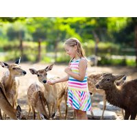 3 Tage Heimat-Genuss inkl. Wildpark Ringhotel Altstadt in Güstrow, Mecklenburg-Vorpommern inkl. Frühstück