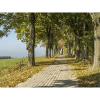 Familien-Erlebnis Zwickau & Erzgebirge - 3 Tage ACHAT Hotel Zwickau, Sachsen inkl. Frühstück