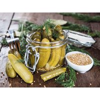 4 Tages Wochentagsschnäppchen für Spreewaldfans Ferien Hotel Spreewald in Kolkwitz, Brandenburg inkl. Frühstück