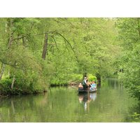 5 Wochentags-Spar-Tage im Spreewald Ferien Hotel Spreewald in Kolkwitz, Brandenburg inkl. Halbpension Plus