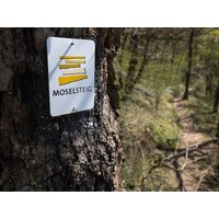 8 Tage - Mit Sack & Pack an die Mosel Hotel Lellmann in Löf, Rheinland-Pfalz inkl. Frühstück