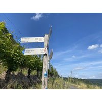 3 Tage - Mosel - Über Stock & Stein Hotel Lellmann in Löf, Rheinland-Pfalz inkl. Halbpension Plus
