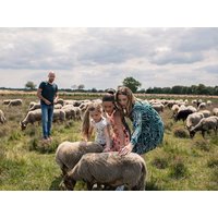 Rundum Sorglos Paket - 4 Tage All-Inclusive De Bonte Wever in Assen inkl. All Inclusive