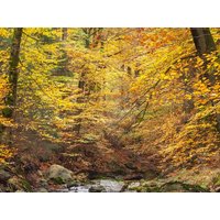 4 Tage den Harz entdecken Harz Hotel Iris in Herzberg am Harz, Niedersachsen inkl. Frühstück