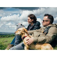 Tierisch Pfalz - Urlaub mit dem Hund HP | 4 Tage Leinsweiler Hof, Rheinland-Pfalz inkl. Halbpension