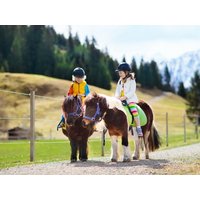 4 Tage Familienauszeit im Bayerischen Wald - 3 Nächte Familienhotel Runding, Bayern inkl. All Inclusive