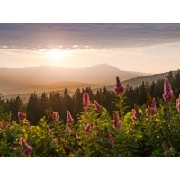 3 Tage Wanderparadies St.Englmar im Bayerischen Wald 3 Tg/HP Village Hotel Bayerischer Wald in Neukirchen (Niederbayern), Bayern inkl. Halbpension