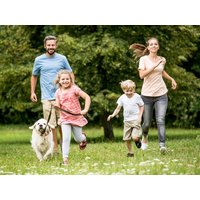 4 Tage Allgäu mit Hund erleben - gemeinsam Natur erkunden allgovia hotel garni in Wangen, Baden-Württemberg inkl. Frühstück
