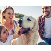 3 Tage Happy Dog - Happy Family Parkhotel Berghölzchen in Hildesheim inkl. Halbpension