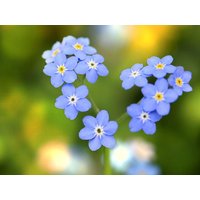 4 Tage Feiertags-Arrangements-endlich langes Wochenende! Garni Hotel Zwickau - Mosel in Mülsen, Sachsen inkl. Frühstück