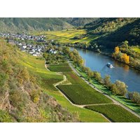 6 Tage - Mosel - Über Stock & Stein Hotel Lellmann in Löf, Rheinland-Pfalz inkl. Halbpension Plus