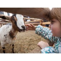 Häfners Familienzeit für kleines Geld - 7 Tage Hotel Häfner GmbH in Bad Schönborn, Baden-Württemberg inkl. Frühstück