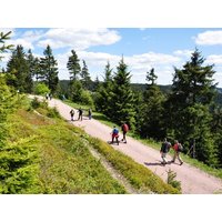 Erlebnisse im Thüringer Wald - 3 Tage in Suhl ACHAT Hotel Suhl, Thüringen inkl. Frühstück