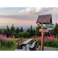 Genießen und Erleben - 5 Tage im Thüringer Wald ACHAT Hotel Suhl, Thüringen inkl. Halbpension