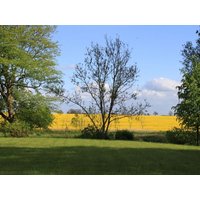 3 Tage nahe der Hansestadt Rostock Land-gut-Hotel Hermann in Bentwisch, Mecklenburg-Vorpommern