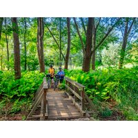 3 Tage Spreewälder Raderlebnis Parkpension Burg im Spreewald in Burg (Spreewald), Brandenburg inkl. Frühstück