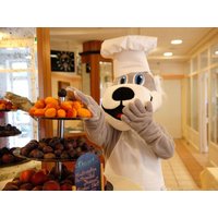 Sonnenwolfi´s  All-Inclusive - 8 Tage Familienspaß! Sonnenhotel Bayerischer Hof in Waldmünchen, Bayern inkl. All Inclusive