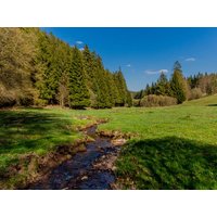 3 Tage Last-Minute Winterkurztrip im Thüringer Wald Ferien Hotel Rennsteigblick  in Finsterbergen (Friedrichroda), Thüringen inkl. Halbpension Plus