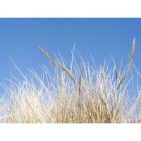 6 Tage Rügenkurztrip - Mee(h)r erleben Inselhotel Kleiner Bodden in Buschvitz, Mecklenburg-Vorpommern inkl. Halbpension Plus