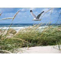 Große Insel-Auszeit - 5 Tage Kurzurlaub auf Rügen Inselhotel Kleiner Bodden in Buschvitz, Mecklenburg-Vorpommern inkl. Halbpension Plus
