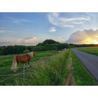 5 Tage Wanderspaß im Bergischen Land mit Halbpension Hotel Willmeroth Hofbräu in Windeck, Nordrhein-Westfalen inkl. Halbpension