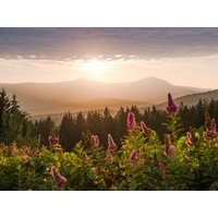 3 Tage Bayerischer Wald für Familien - Kinder gratis* 3Tg/HP Village Hotel Bayerischer Wald in Neukirchen (Niederbayern), Bayern inkl. Halbpension