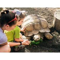 2 Tage Auszeit mit Zoo und Wellness im Saarland Hotel am Zoo in Neunkirchen (Saar) inkl. Frühstück