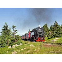 5 Tage Mit Volldampf in den Familienurlaub - inkl. HP-Plus Panoramic - Ihr Apartmenthotel im Harz in Bad Lauterberg, Niedersachsen inkl. Halbpension Plus