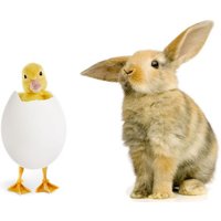 4 Tage Osterfest inkl. HP plus im Weinanbaugebiet Hotel Schloss Nebra in Nebra (Unstrut), Sachsen-Anhalt inkl. Halbpension Plus
