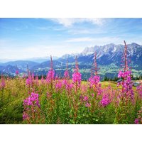 4 Tage Tiroler Familien-Wellnessabenteuer im Schloss Family Hotel Schloss Rosenegg in Fieberbrunn inkl. Halbpension Plus