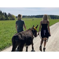 5 Tage Thüringer Wald: Eselspaziergang & Fass-Sauna Feriendorf Ebermannsmühle in Lauscha, Thüringen
