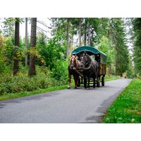 4 Tage Himmelfahrt & Pfingst-Urlaub + Kremserfahrt und HP+ Ferien Hotel Fläming  in Niemegk, Brandenburg inkl. Halbpension Plus
