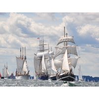 5 Tage das maritime Kiel erkunden mit Frühstück Maritim Hotel Bellevue Kiel, Schleswig-Holstein inkl. Frühstück