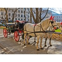 2 Tage im Hotel Terminus Hotel Terminus in Wien