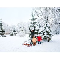 3 Tage Rennsteiger Rodel-Highlight inkl. HP plus Ferien Residenz Thüringer Wald in Masserberg, Thüringen inkl. Halbpension Plus