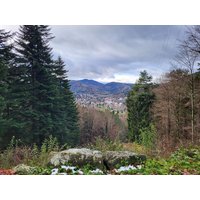 3 Tage Familienzeit mit Ihrem Haustier im Schwarzwald Landhotel Schönblick in Bad Herrenalb, Baden-Württemberg inkl. Frühstück
